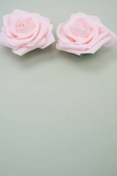 Tiro Vertical Duas Rosas Espumantes Isoladas Fundo Cinza — Fotografia de Stock