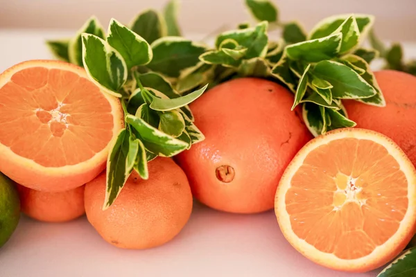 Closeup Shot Different Types Fresh Citrus Fruit Assortment Leaf Foliage — Stock Photo, Image