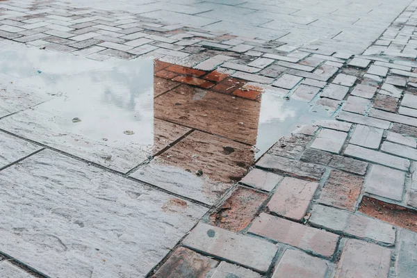 Eine Aufnahme Von Einem Regenteich Auf Einem Kopfsteinpflaster Auf Dem — Stockfoto