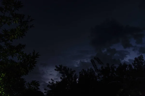 Alacsony Szögű Lövés Faágakról Levelekről Gyönyörű Sötét Alatt Éjszaka Folyamán — Stock Fotó