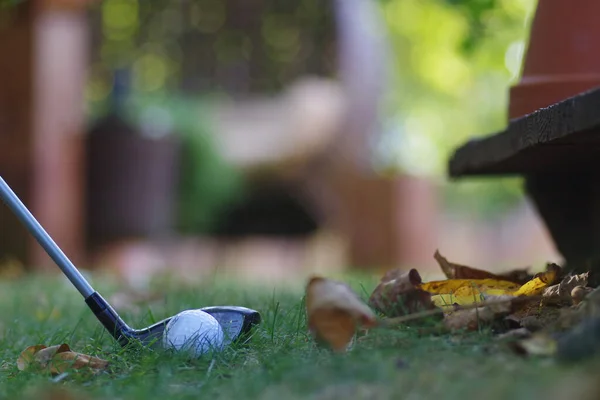 Een Selectieve Focus Shot Van Golfstick Bal Groen Gras — Stockfoto