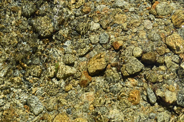 Eine Nahaufnahme Von Kieselsteinen Flachen Wasser — Stockfoto