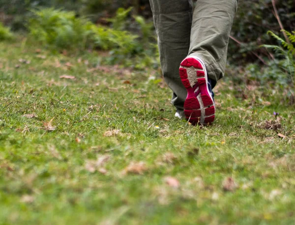 草の上を歩く人のクローズアップフォーカスショット ハイキングの概念 — ストック写真