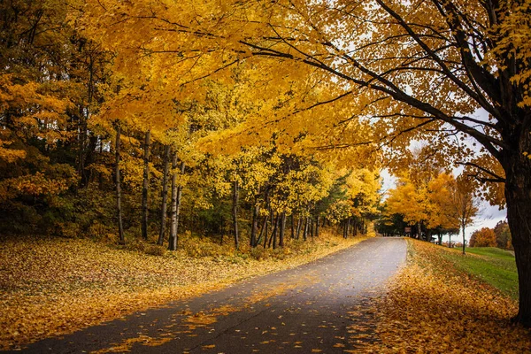 Blick Auf Eine Schöne Romantische Allee Einem Park Mit Bunten — Stockfoto