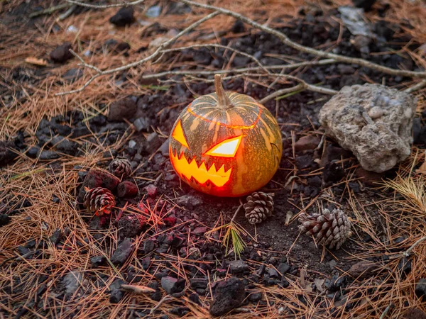 Primer Plano Una Calabaza Miedo Aligerar Desde Interior Para Una — Foto de Stock