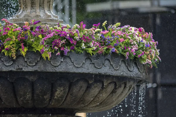 Bel Colpo Fiori Colorati Una Fontana — Foto Stock