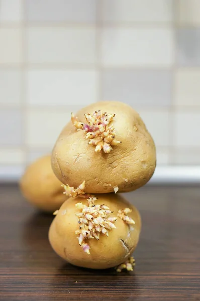 Gros Plan Vertical Pommes Terre Crues Sur Une Table — Photo