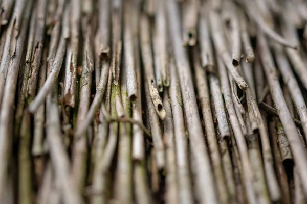 Eine Nahaufnahme Von Kleinen Dünnen Holzstäbchen — Stockfoto