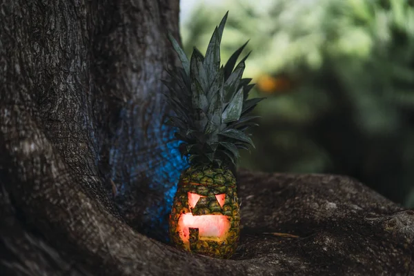 Una Piña Halloween Con Una Cara Aterradora Las Raíces Árbol — Foto de Stock