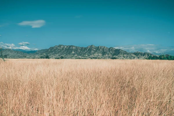Nahaufnahme Eines Trockenen Feldes Mit Hügeln Hintergrund — Stockfoto