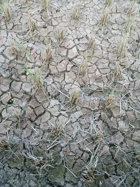 乾燥して割れた土のショット — ストック写真