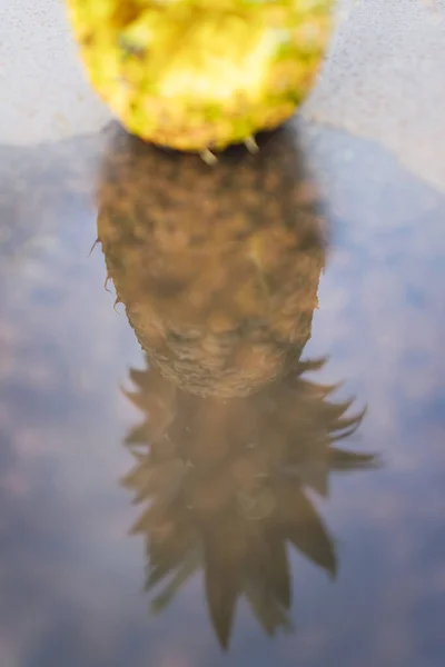 Pineapple Reflecting Water — Stock Photo, Image