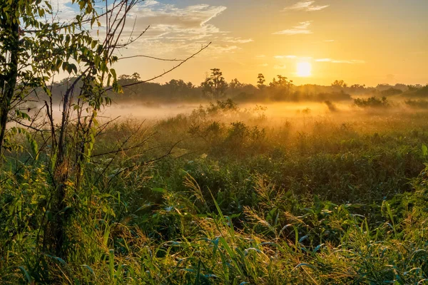 Hermoso Amanecer Circle Bar Reserve Cerca Lakeland Florida — Foto de Stock