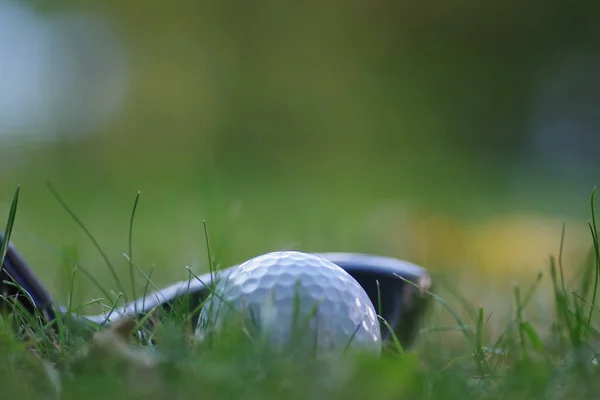 Селективный Фокус Снимок Клюшки Гольфа Мяча Зеленой Траве — стоковое фото
