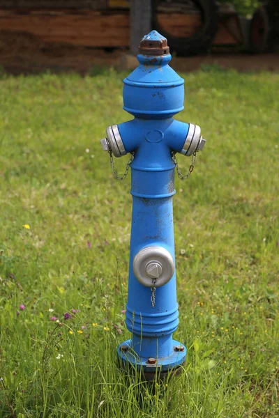 绿色草坪上一个蓝色消防栓的垂直镜头 — 图库照片