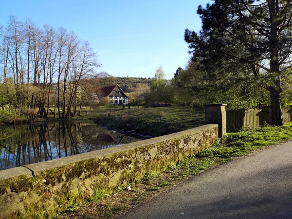 Een Muur Begroeid Met Mos Bij Een Vijver Het Voorjaar — Stockfoto