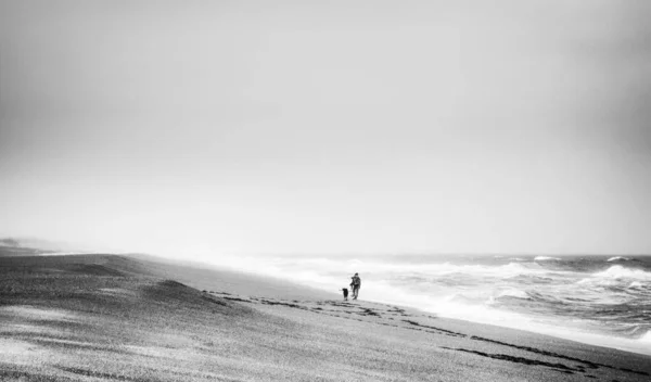 Una Mujer Perro Paseando Por Playa Las Olas Golpean Orilla —  Fotos de Stock