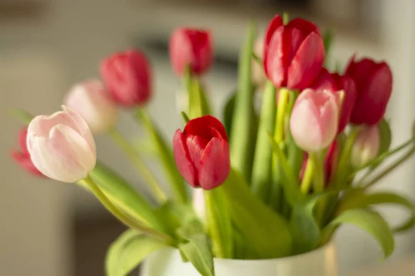 Eine Nahaufnahme Mit Rosa Und Roten Tulpen Auf Verschwommenem Hintergrund — Stockfoto