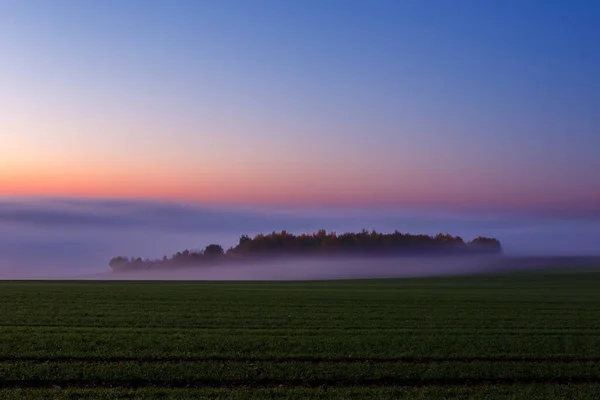 Mlha Pokrývající Údolí Pozdním Večeru — Stock fotografie