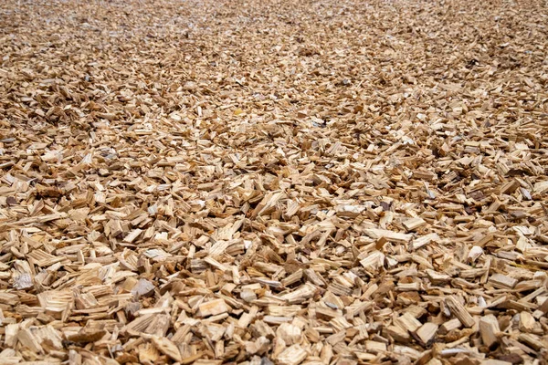 Wood Chips Abstract Textured Background — Stock Photo, Image