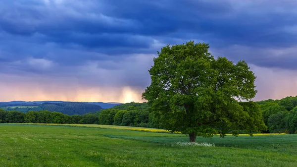 Krásný Výhled Krajinu Při Západu Slunce — Stock fotografie