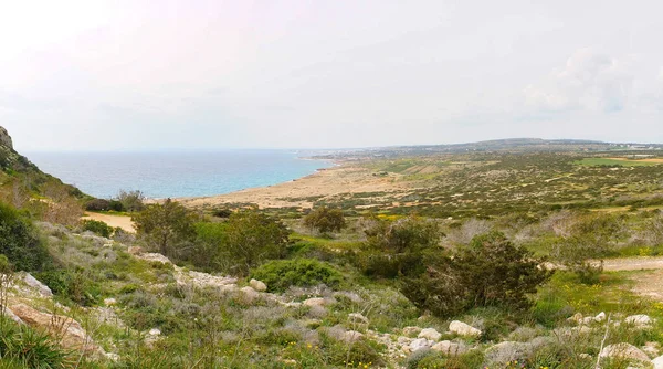 塞浦路斯科雷科角国家森林公园多云天气下海岸线上的绿色植被和岩石景观 — 图库照片