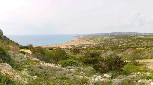 Una Vista Della Vegetazione Verde Rocce Sulla Costa Una Giornata — Foto Stock