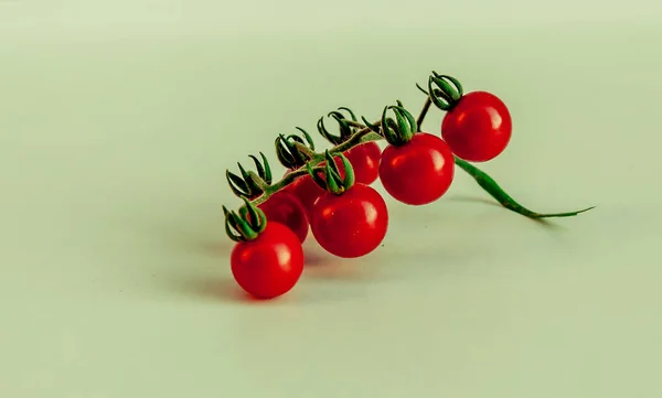 Una Rama Tomates Cherry Aislados Sobre Fondo Blanco — Foto de Stock