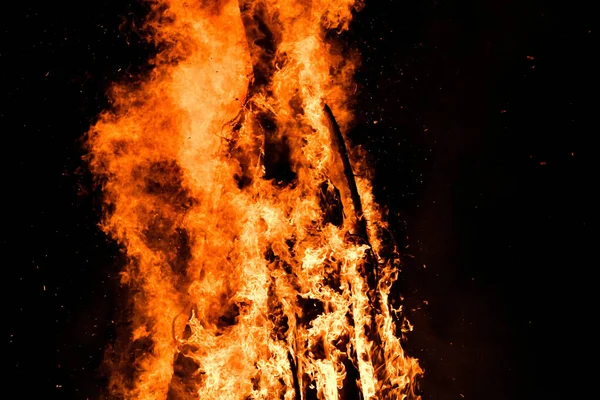 Огненный Выстрел Лесу — стоковое фото