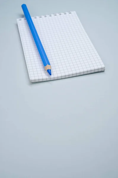 Een Verticaal Shot Van Een Notebook Een Blauw Potlood — Stockfoto