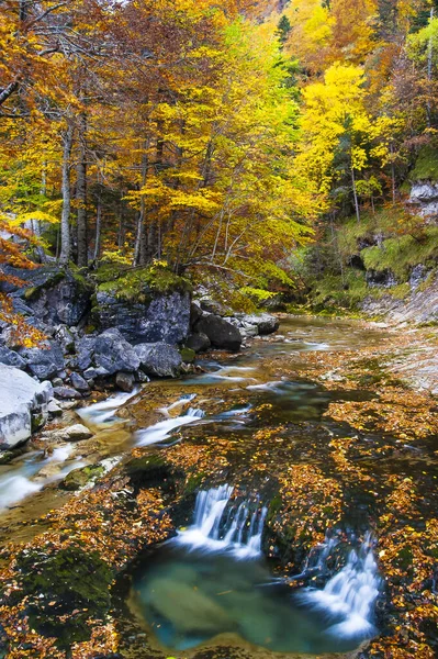 Een Prachtig Verticaal Schot Van Een Rivier Het Midden Van — Stockfoto