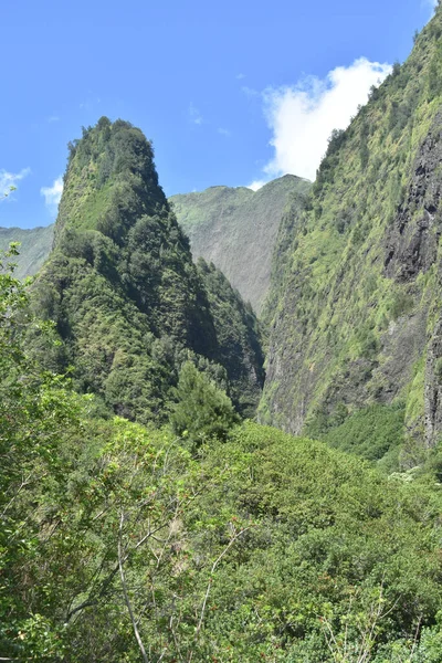 Uma Foto Vertical Famosa Agulha Lao Valley State Park Maui — Fotografia de Stock