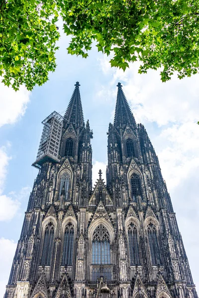 Вертикальний Знімок Кельнського Собору Німеччині — стокове фото