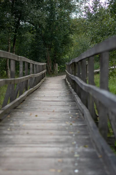 Plan Vertical Une Passerelle Bois Dans Parc — Photo