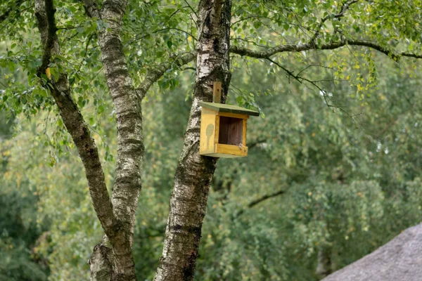 Een Klein Vogelhuisje Aan Een Boom — Stockfoto