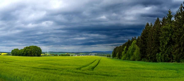 Okouzlující Pohled Svěží Zelená Pole Pod Zataženou Oblohou — Stock fotografie