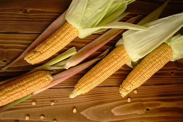 Top View Shot Open Layers Husk Corncobs Isolated Wooden Surface — Stock Photo, Image