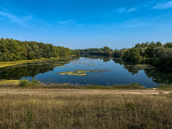 Tiro Perto Lago Uma Floresta — Fotografia de Stock