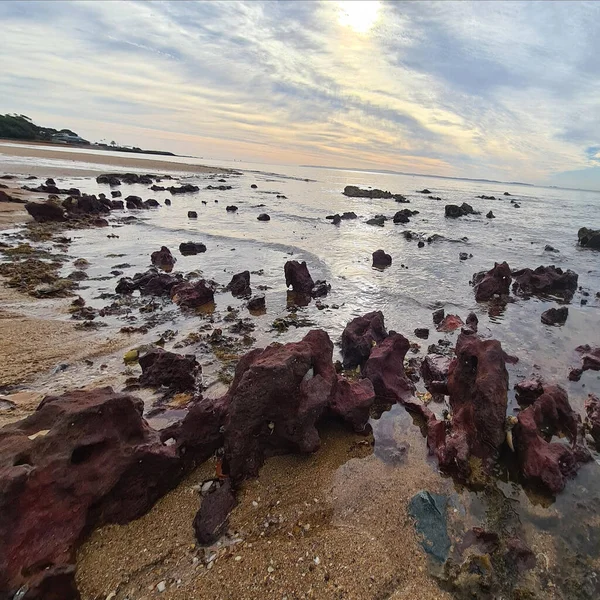 Piękne Ujęcie Skalistej Plaży — Zdjęcie stockowe