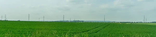 Panoramic Shot Green Rural Field Overhead Power Lines Background — Stock Photo, Image
