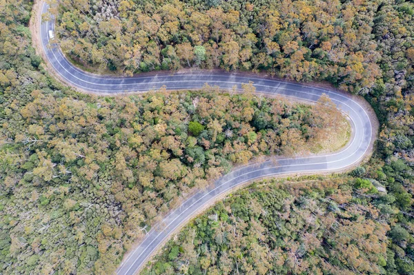 Вид Воздуха Извилистую Дорогу Окруженную Красочными Деревьями Лесу — стоковое фото