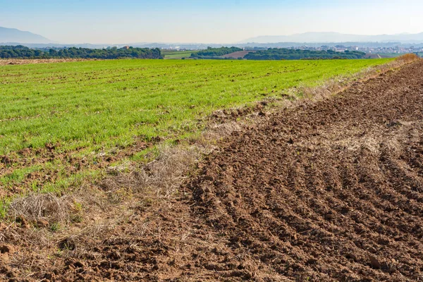 Una Vista Fascinante Los Campos Durante Día — Foto de Stock