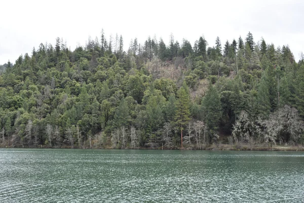 Rivière Qui Coule Entourée Par Les Arbres Dans Parc — Photo