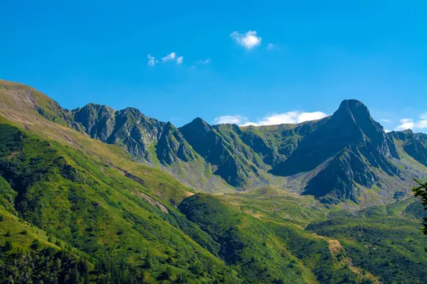 Romanya Nın Fagaras Dağlarından Sambata Vadisi — Stok fotoğraf