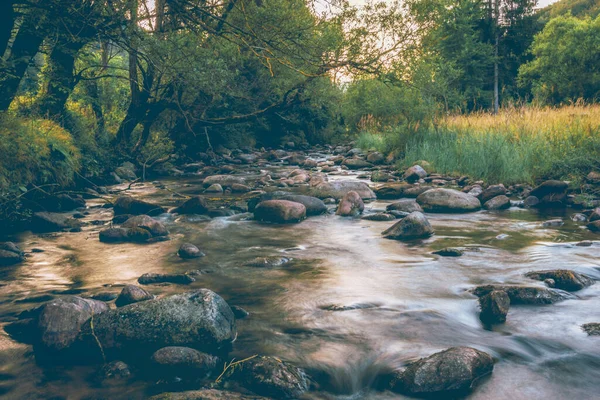 Een Prachtige Rivier Het Midden Van Een Bos — Stockfoto