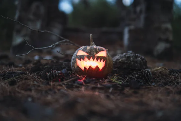 Halloweenpumpa Med Läskigt Ansikte Torrt Gräs — Stockfoto