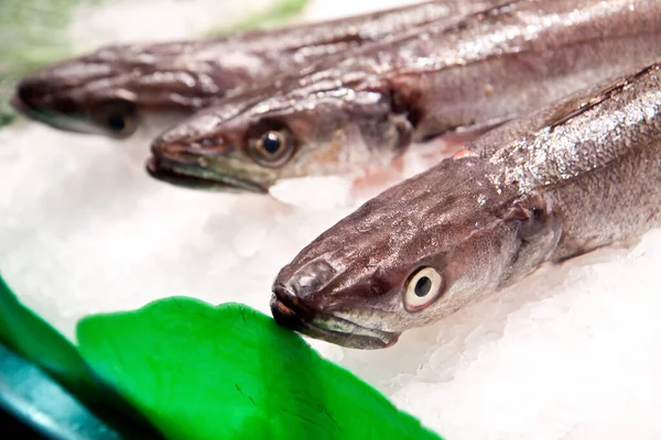 Primo Piano Pesce Fresco Sul Ghiaccio Mercato Del Pesce Spagnolo — Foto Stock