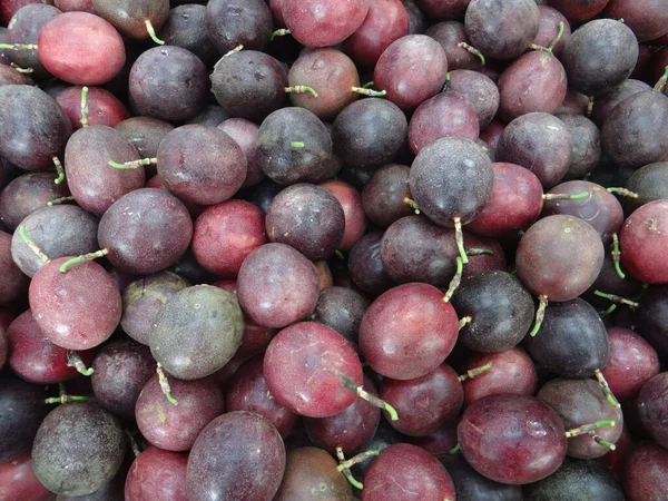 Ein Hochwinkel Schuss Von Roten Traubenbeeren — Stockfoto