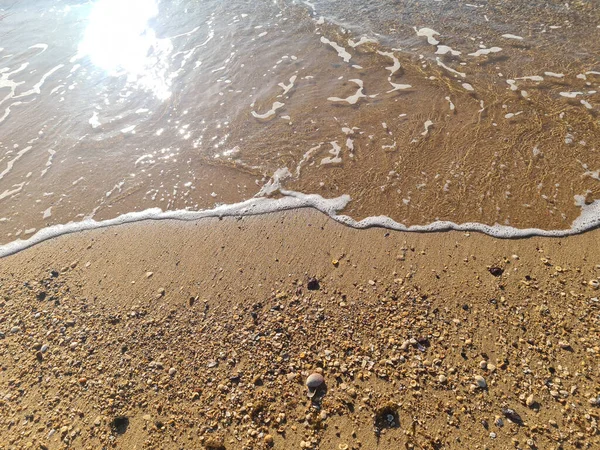 Beau Cliché Une Plage Sable Sous Lumière Soleil — Photo