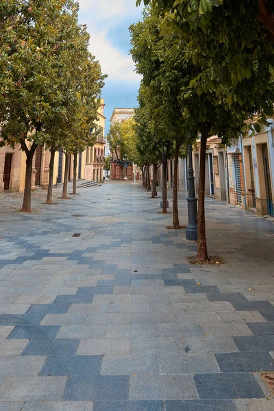 Tiro Vertical Uma Rua Vazia Durante Quarentena Covid Jerez Andaluzia — Fotografia de Stock